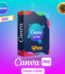 canva panel 3000 accounts